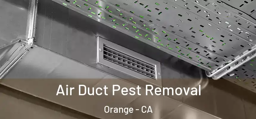 Air Duct Pest Removal Orange - CA