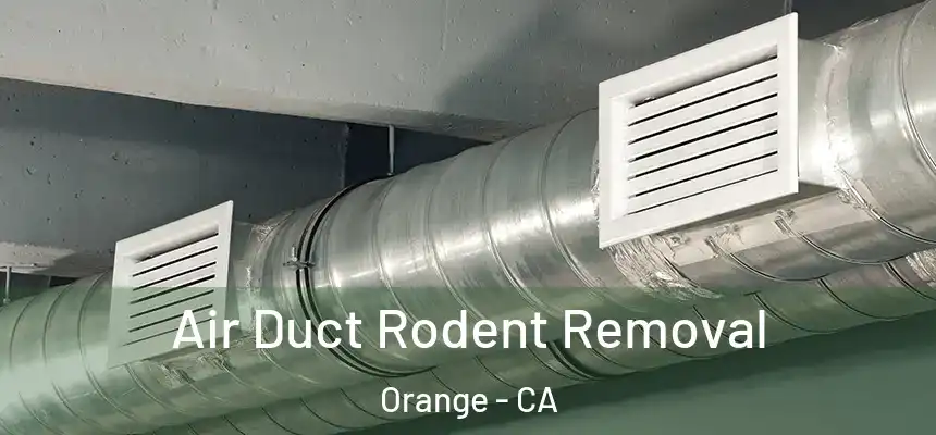 Air Duct Rodent Removal Orange - CA