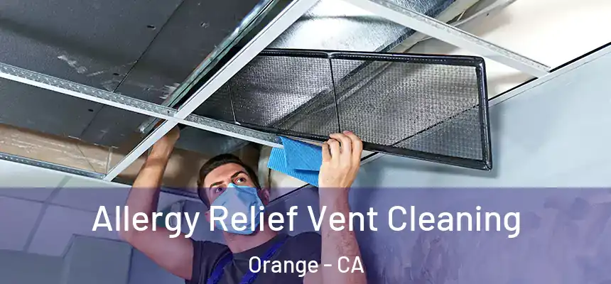 Allergy Relief Vent Cleaning Orange - CA