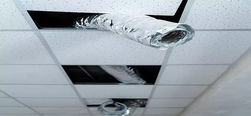 Affordable HVAC Sanitizing After Pest Removal in Orange