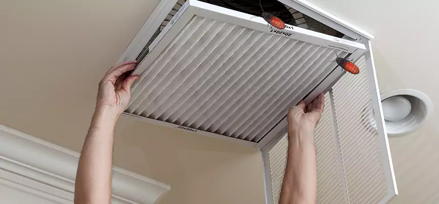 Our Insect Removal from Air Ducts Services in Orange, CA