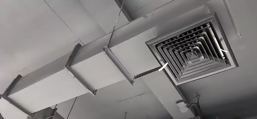 Our Pest Removal From Ducts Services in Orange, CA