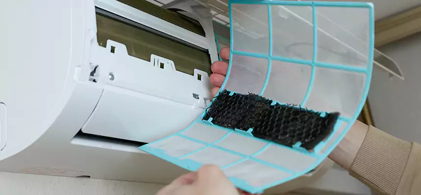 Gentle Ductwork Odor-Control Pet Dander Duct Cleaning in Orange, CA