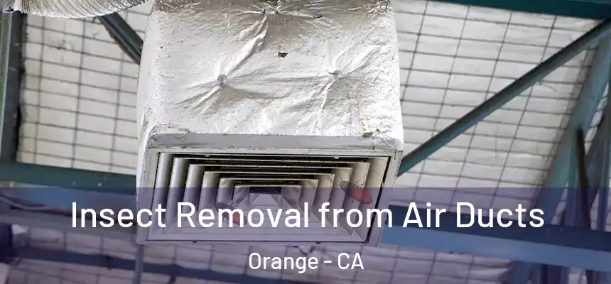 Insect Removal from Air Ducts Orange - CA