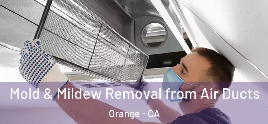 Mold & Mildew Removal from Air Ducts Orange - CA