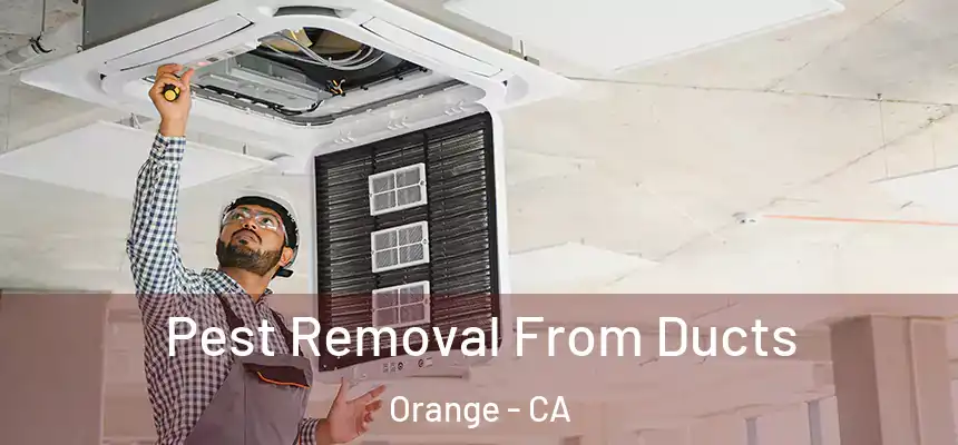 Pest Removal From Ducts Orange - CA