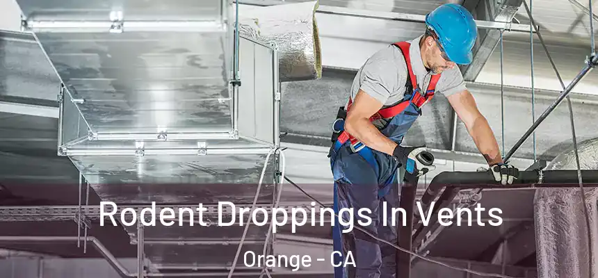 Rodent Droppings In Vents Orange - CA