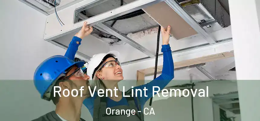 Roof Vent Lint Removal Orange - CA