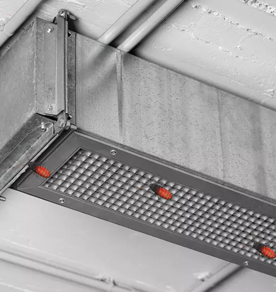 About Air Duct Cockroach Removal in Orange, CA