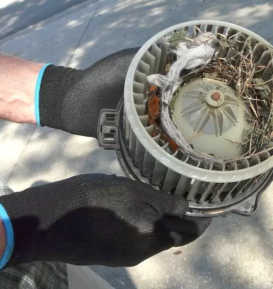 About Air Duct Mice Removal in Orange, CA