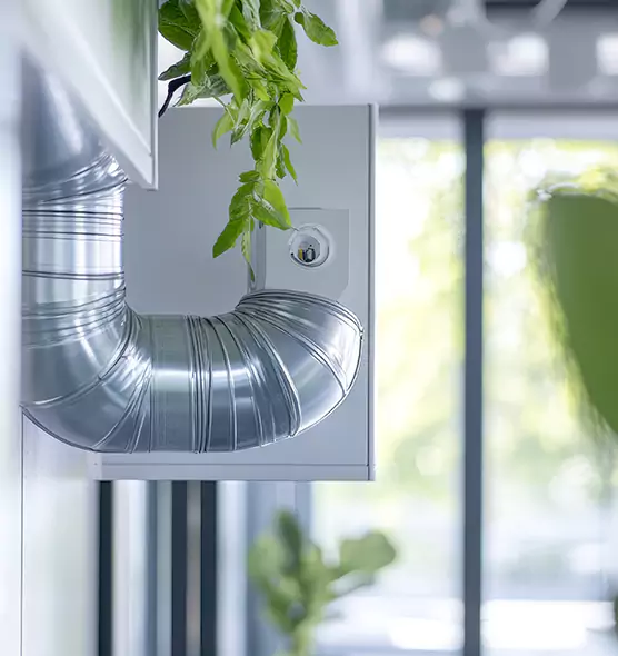 Professional Eco-Friendly Duct Cleaning Services in Orange, CA