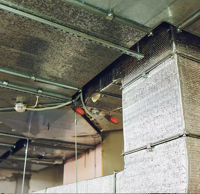 Why Homeowners & Businesses Trust Us Orange, CA?