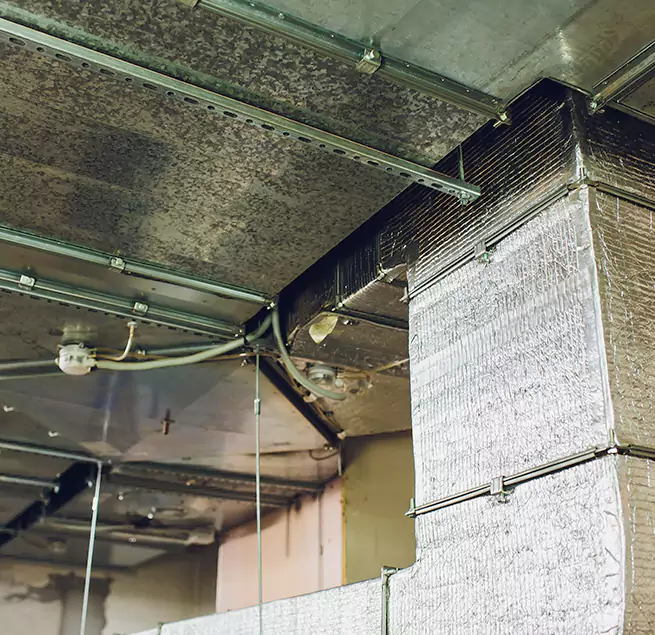 Why Homeowners & Businesses Trust Us in Orange, CA?